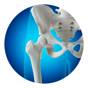 pelvic health